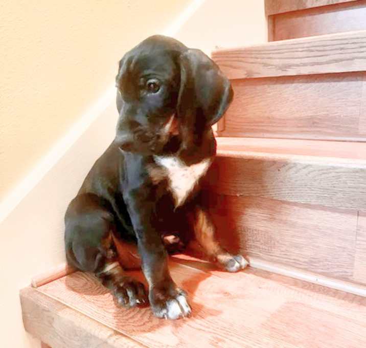 Photo of Tank