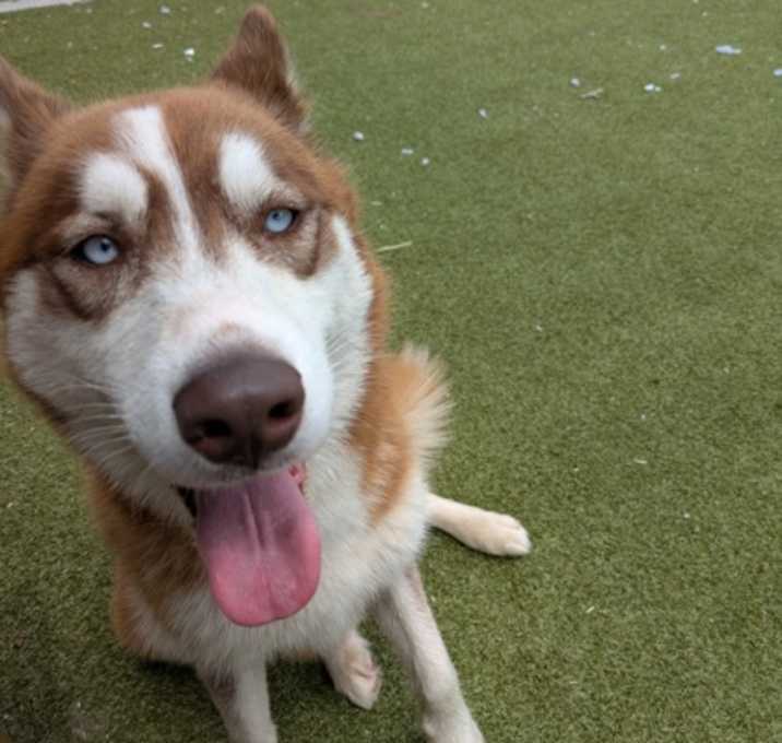 Photo of Woofie Goldberg