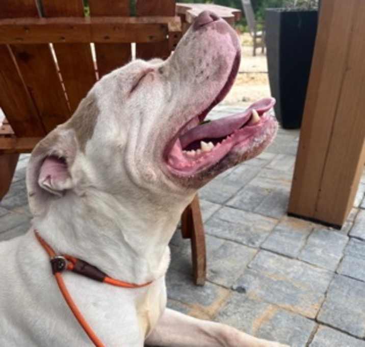 Photo of Penelope