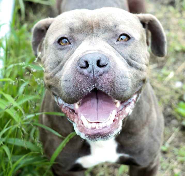Photo of Buford