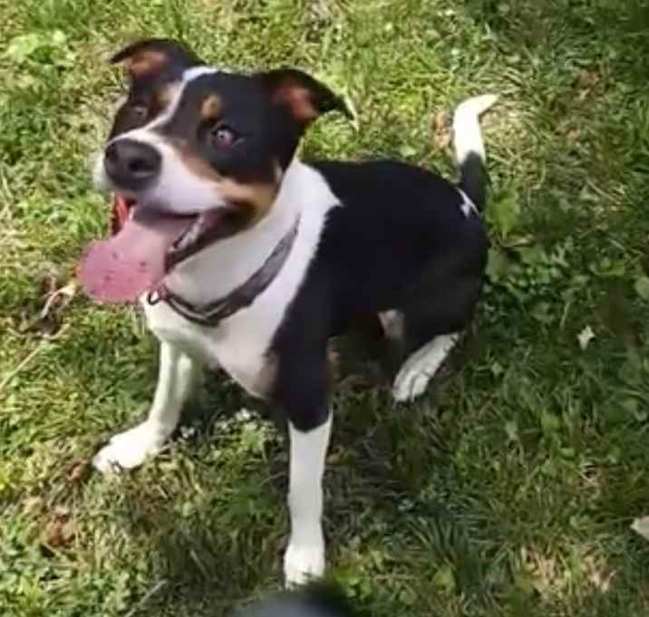 Photo of Bentley
