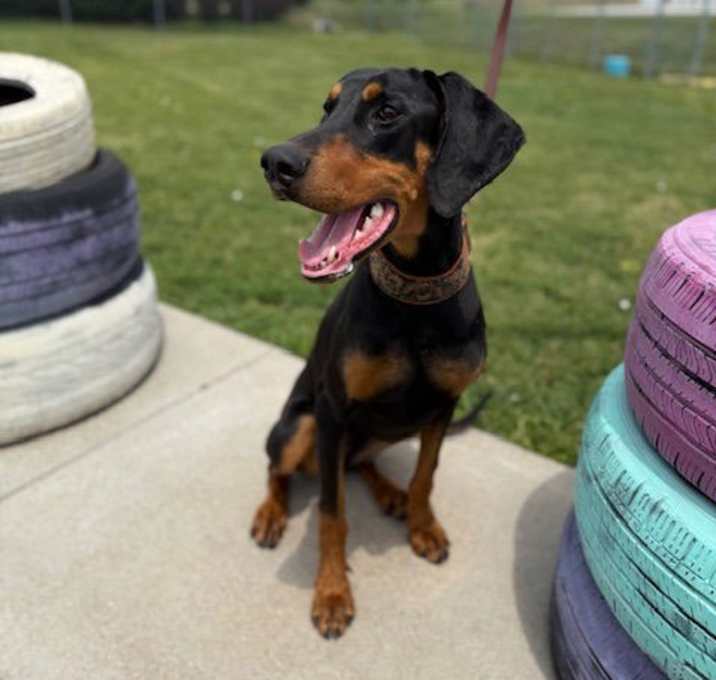 Photo of Xena