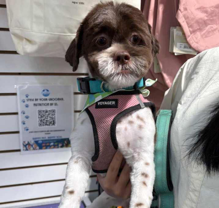 Photo of Charlie