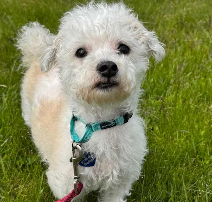 Photo of Coco