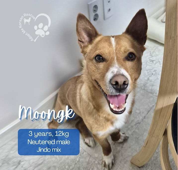Photo of Moongk