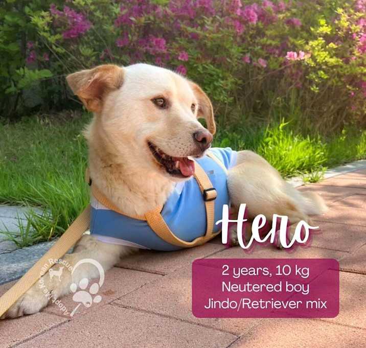 Photo of Hero