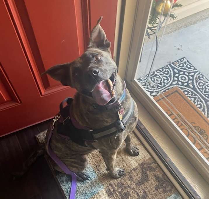 Photo of Fury