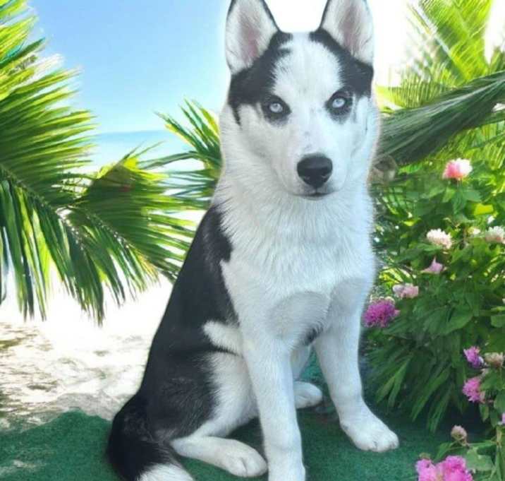 Photo of Emmie