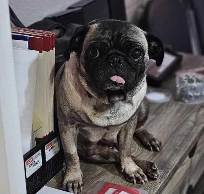 Photo of April aka Fiona