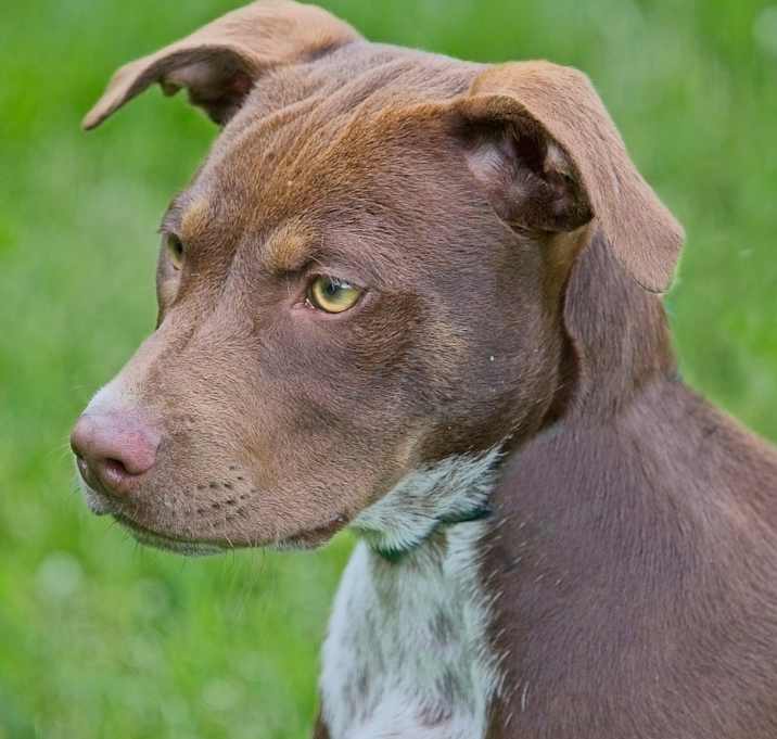 Photo of Marlow