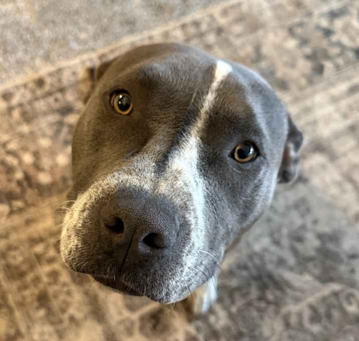 Photo of Millie