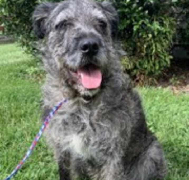 Photo of Bella
