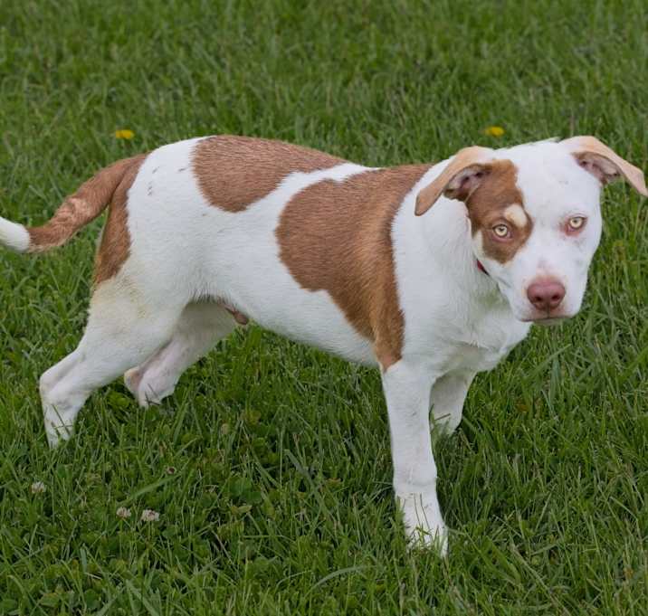 Photo of Floyd