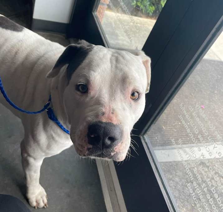 Photo of Bentley