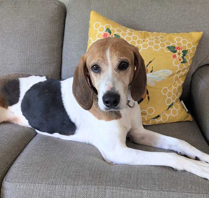Photo of Annabelle
