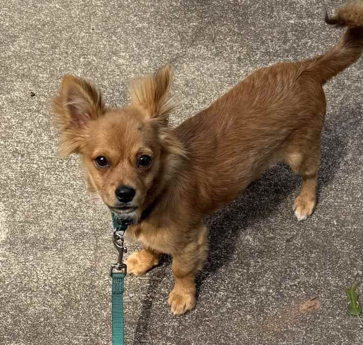 Photo of Brick