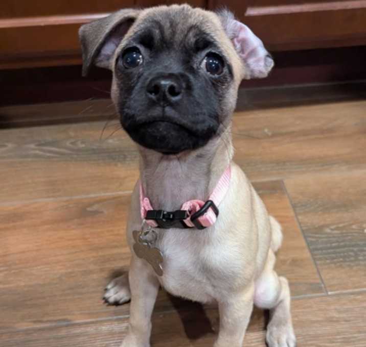 Photo of Wilma