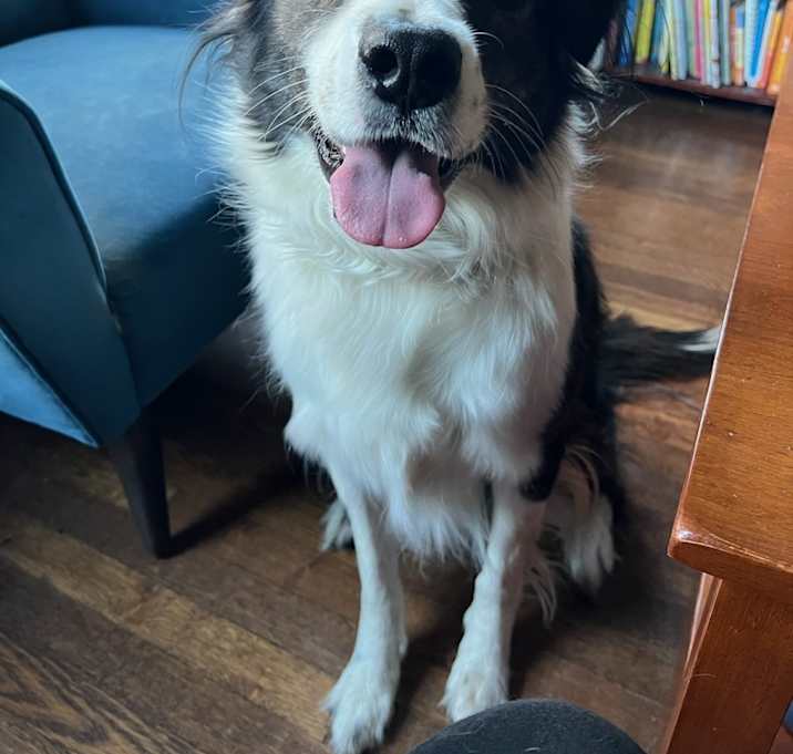 Photo of Mabel