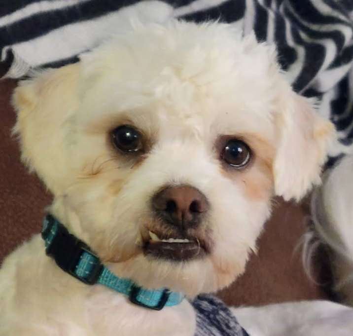 Photo of Tom