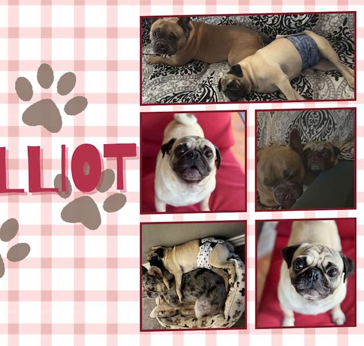 Photo of Elliot