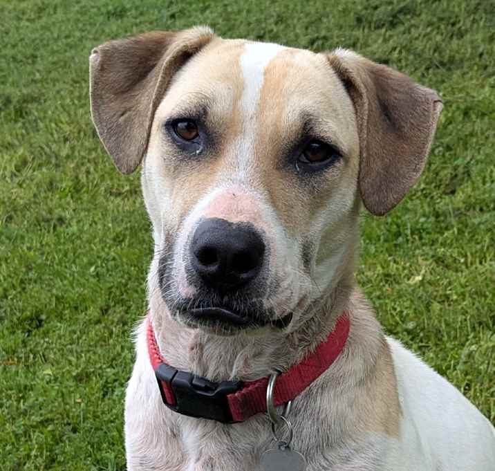 Photo of Otis