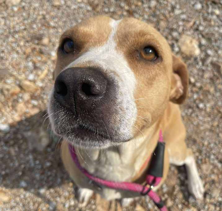 Photo of Coco