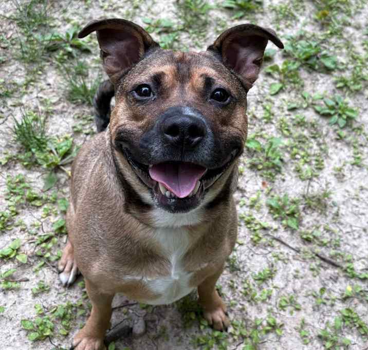 Photo of Getty (Sponsored Adoption Fee)