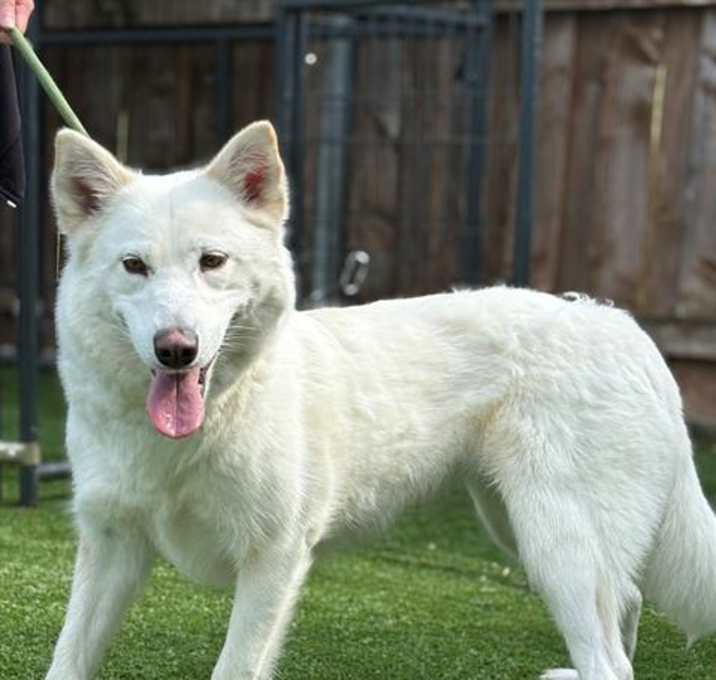 Photo of *TESSA