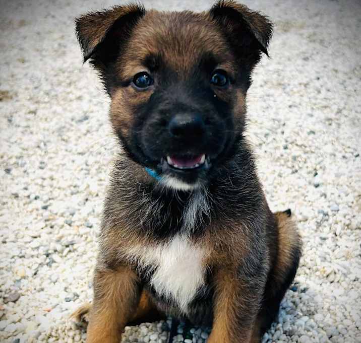 Photo of Castiel