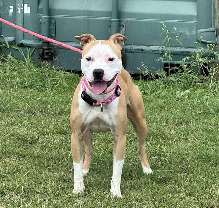 Photo of Maxine