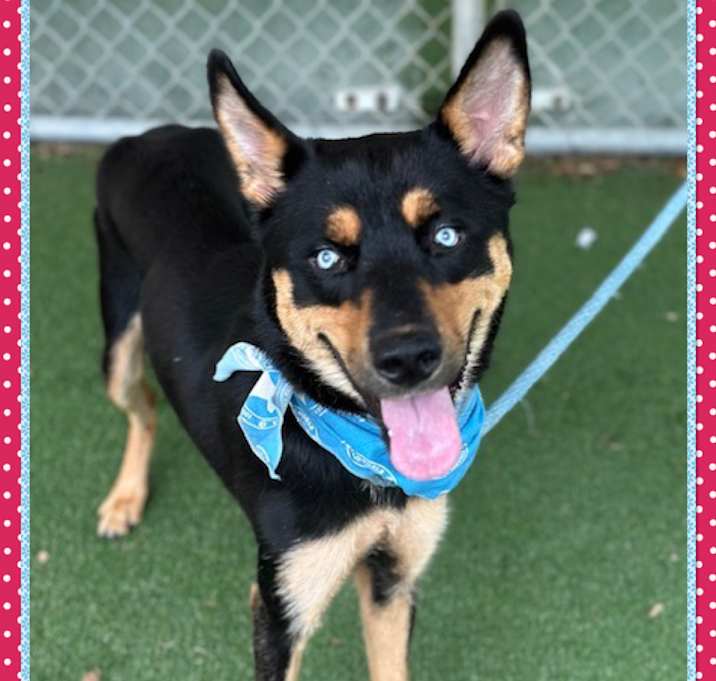 Photo of TWYLA