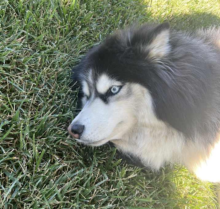 Photo of Spirit