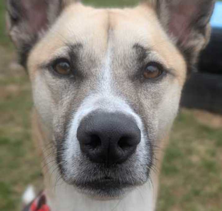 Photo of Harper
