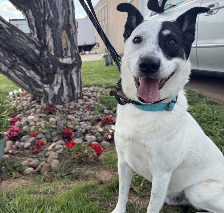 Photo of Charlie Brown