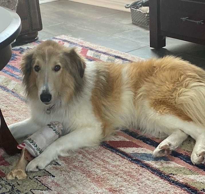 Photo of Peaches