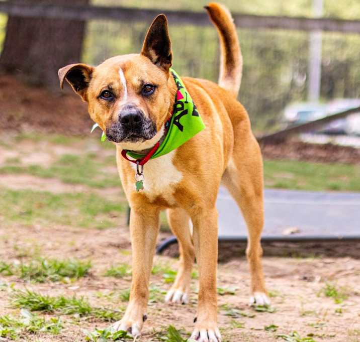 Photo of Bentley