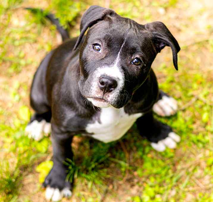 Photo of Emerald