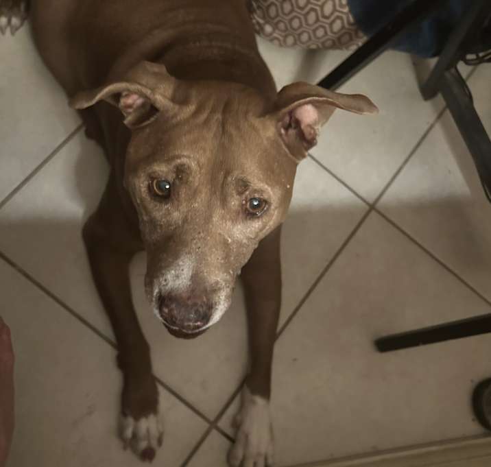 Photo of Bella