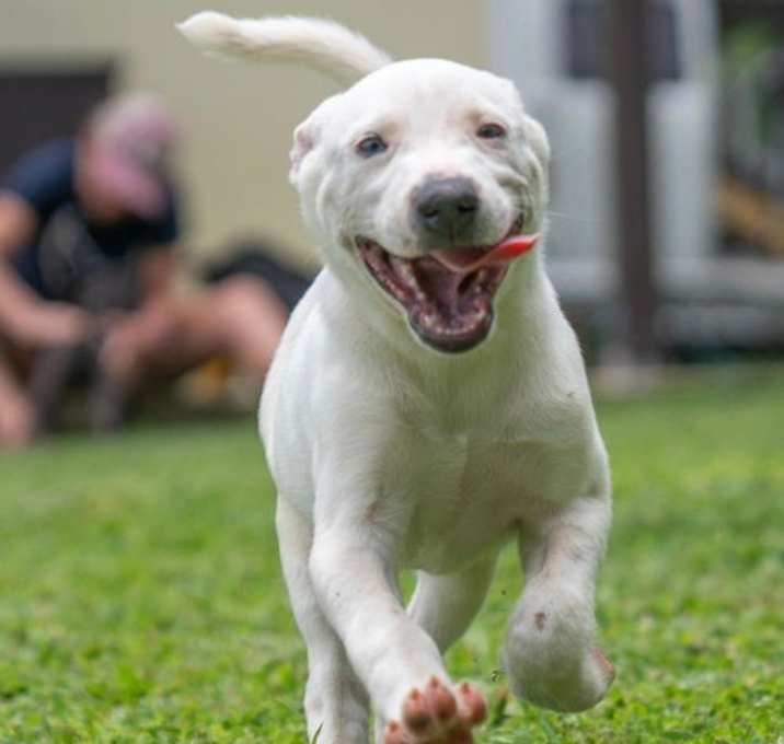 Photo of Thunderbolt  (Foster in PR)