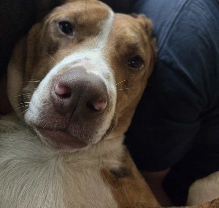 Photo of Jasper
