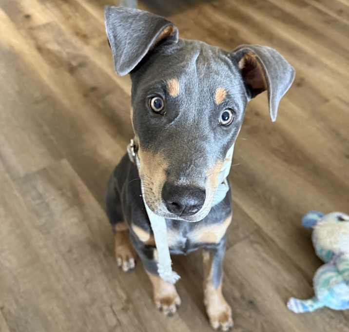 Photo of Silver