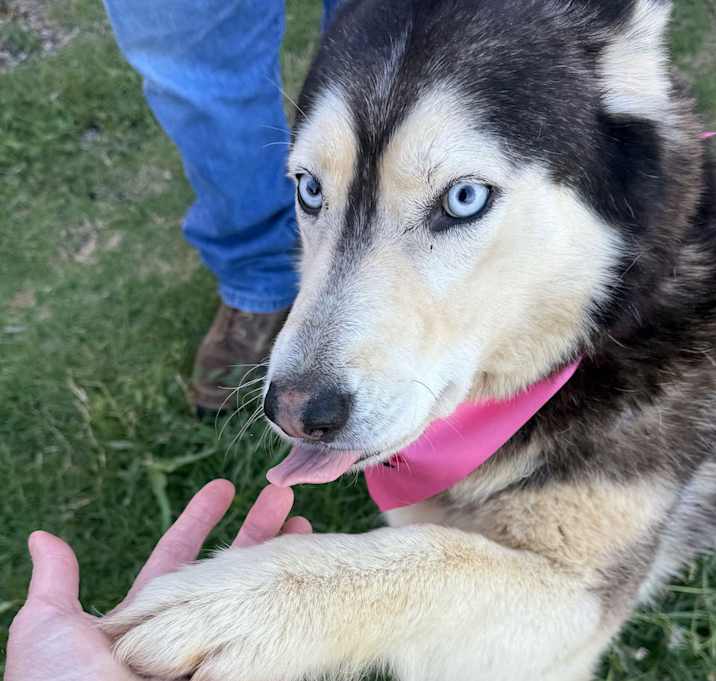 Photo of Freya