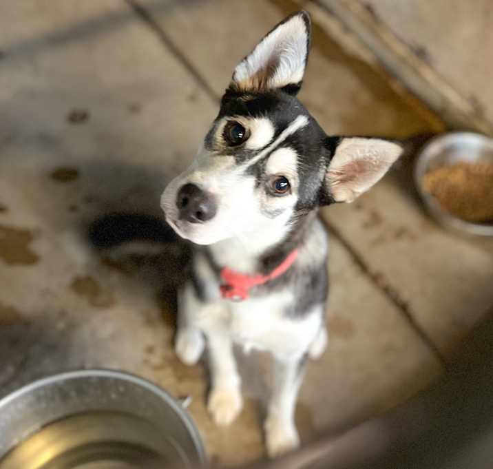 Photo of Aurora 
