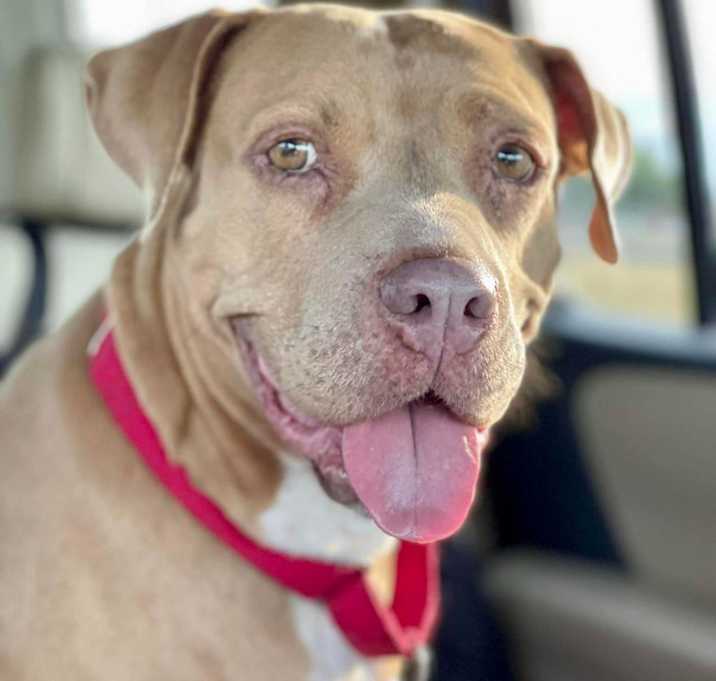 Photo of Abilene JuM