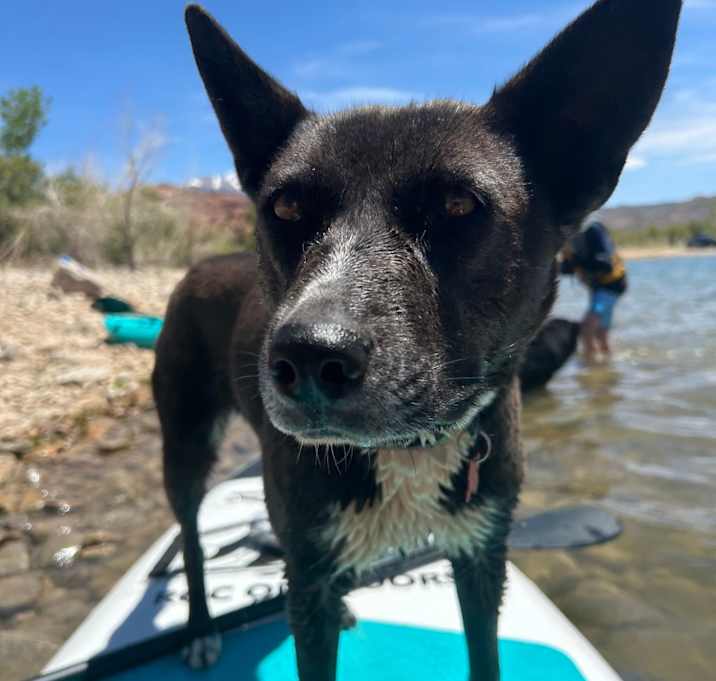 Photo of Tortilla