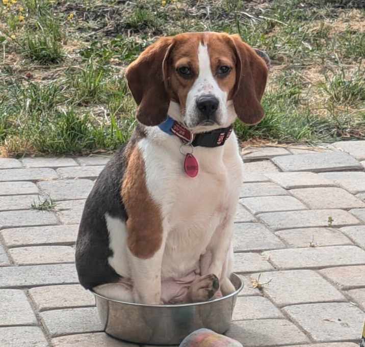 Photo of Ruthie