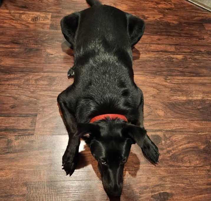 Photo of LUNA