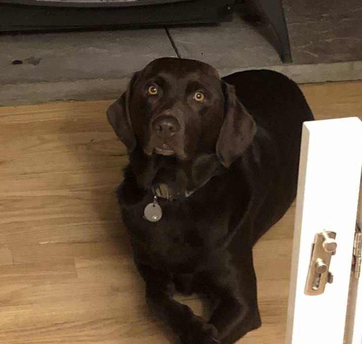 Photo of Remmy