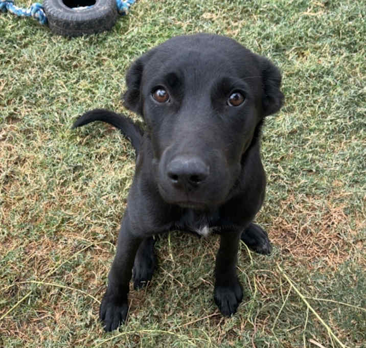 Photo of Winston