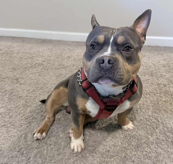 Photo of Sammy